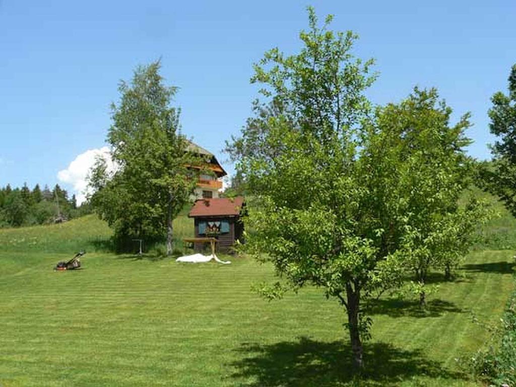 Gästehaus Klingele Todtmoos Exterior foto